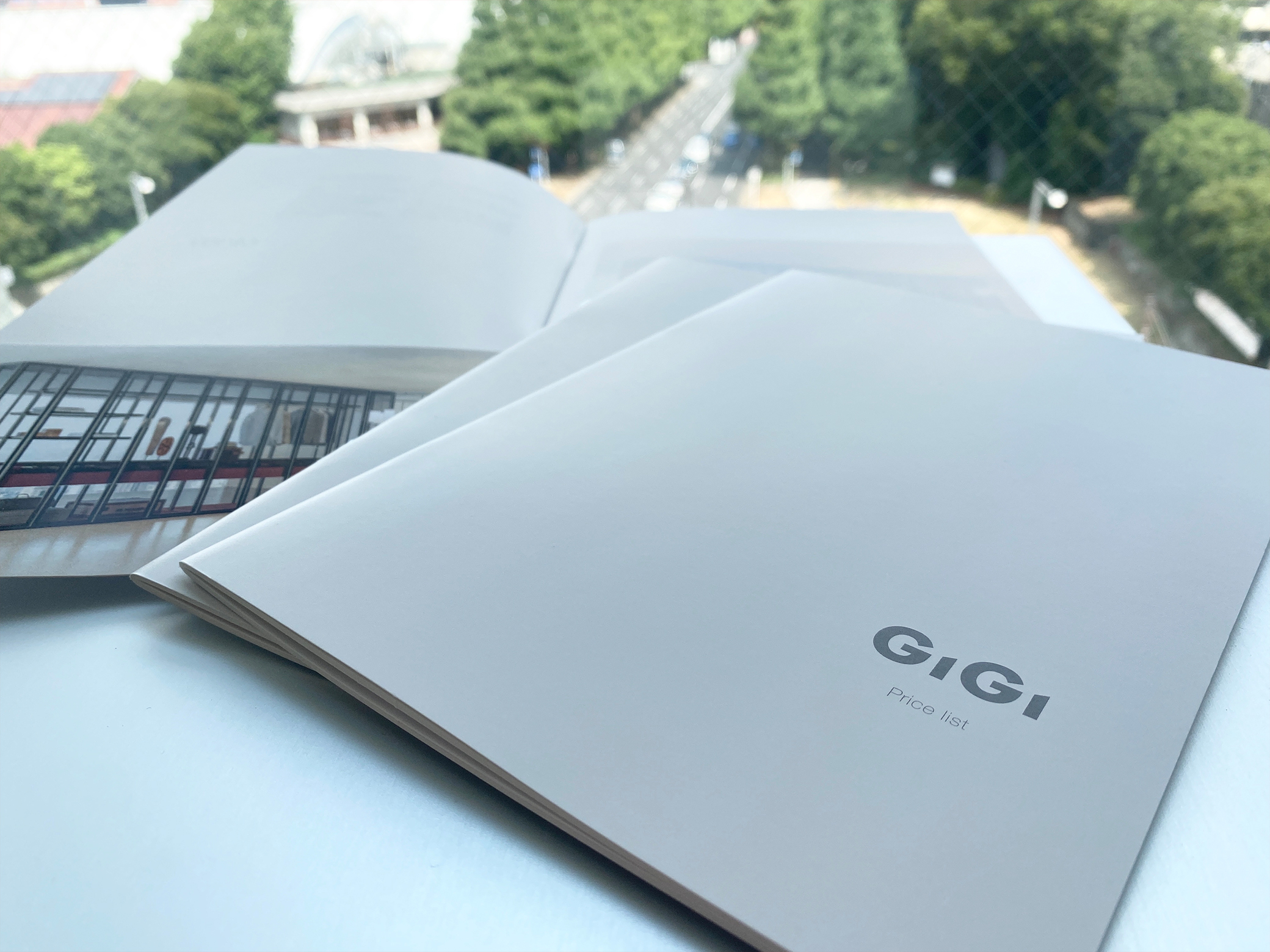 New GiGi ePole catalog has been released!